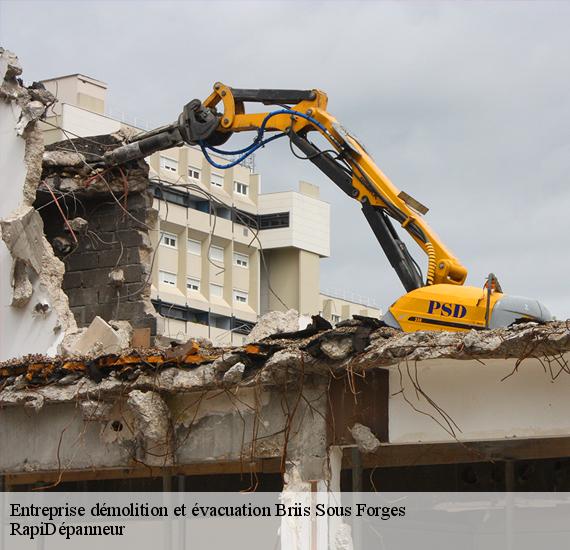 2008467-entreprise-demolition-et-evacuation-rapidepanneur-1