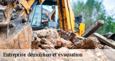 2008567-entreprise-demolition-et-evacuation-rapidepanneur-3