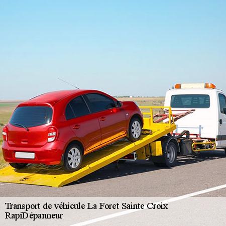 7446302-transport-de-vehicule-rapidepanneur-10