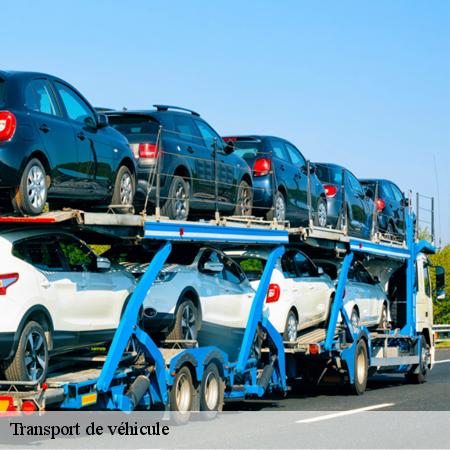 7446312-transport-de-vehicule-rapidepanneur-9