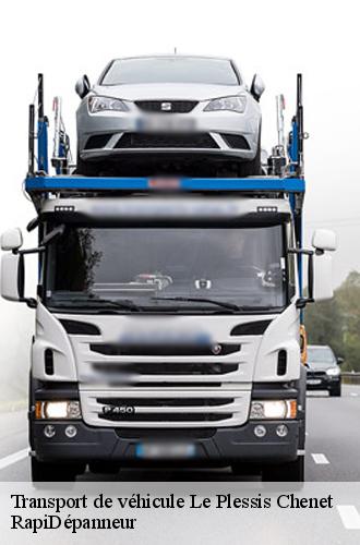 7446421-transport-de-vehicule-rapidepanneur-4