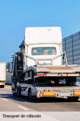7446427-transport-de-vehicule-rapidepanneur-3